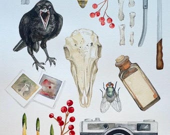 Crímenes reales + rarezas acuarela original / calavera, cuervo, polilla, cámara, trompeta de ángel