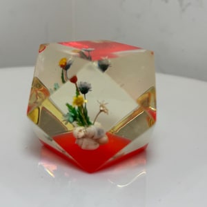 Vtg Lucite Geometric Paperweight Faceted Acrylic Dry Flower Shell Vintage
