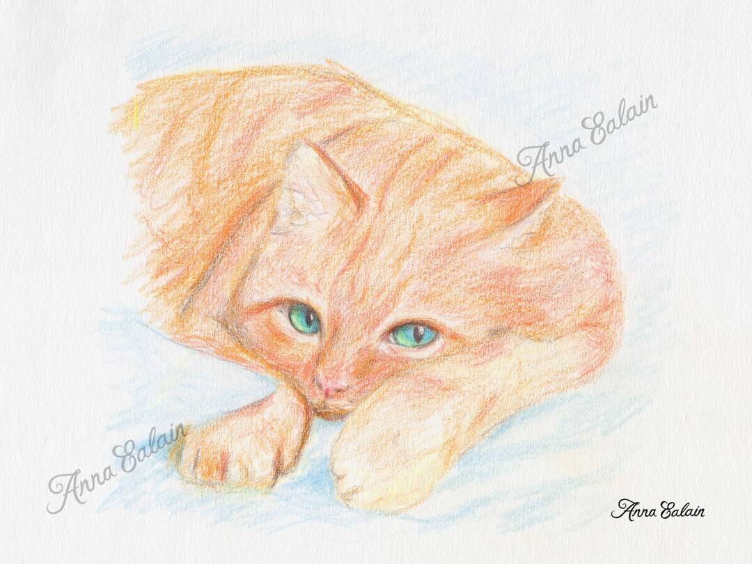 Orange Cat, Colored Pencil Drawing, Pet Portrait, Original Drawing ...