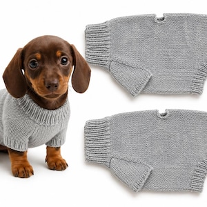 Klassischer Hundestrickmuster | Top-Down-Raglan-Hundepullover PDF | Anfängerfreundlicher Haustierstrick
