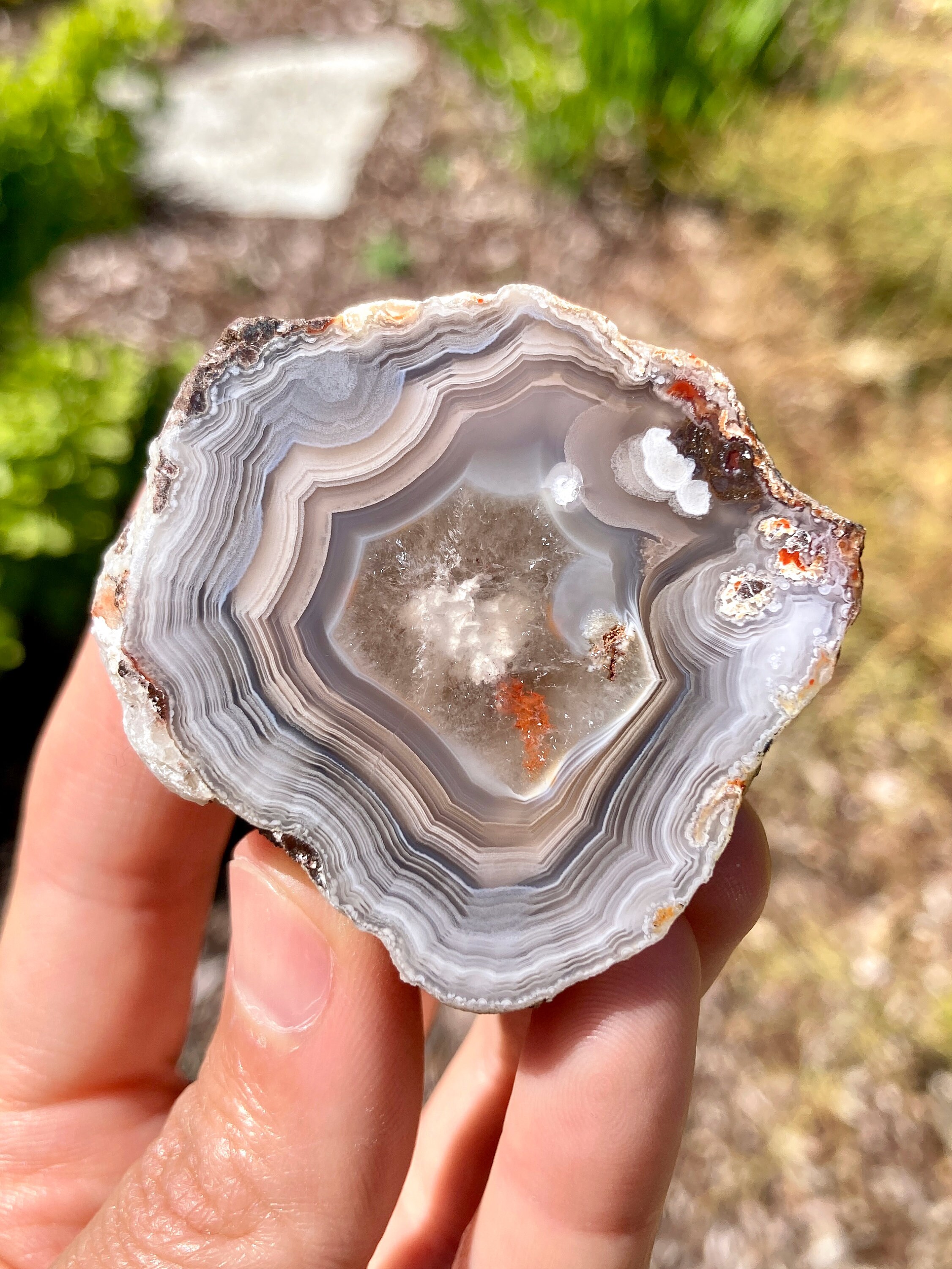Laguna Agate Polished Specimen — Blue and Sand Parallax - Etsy