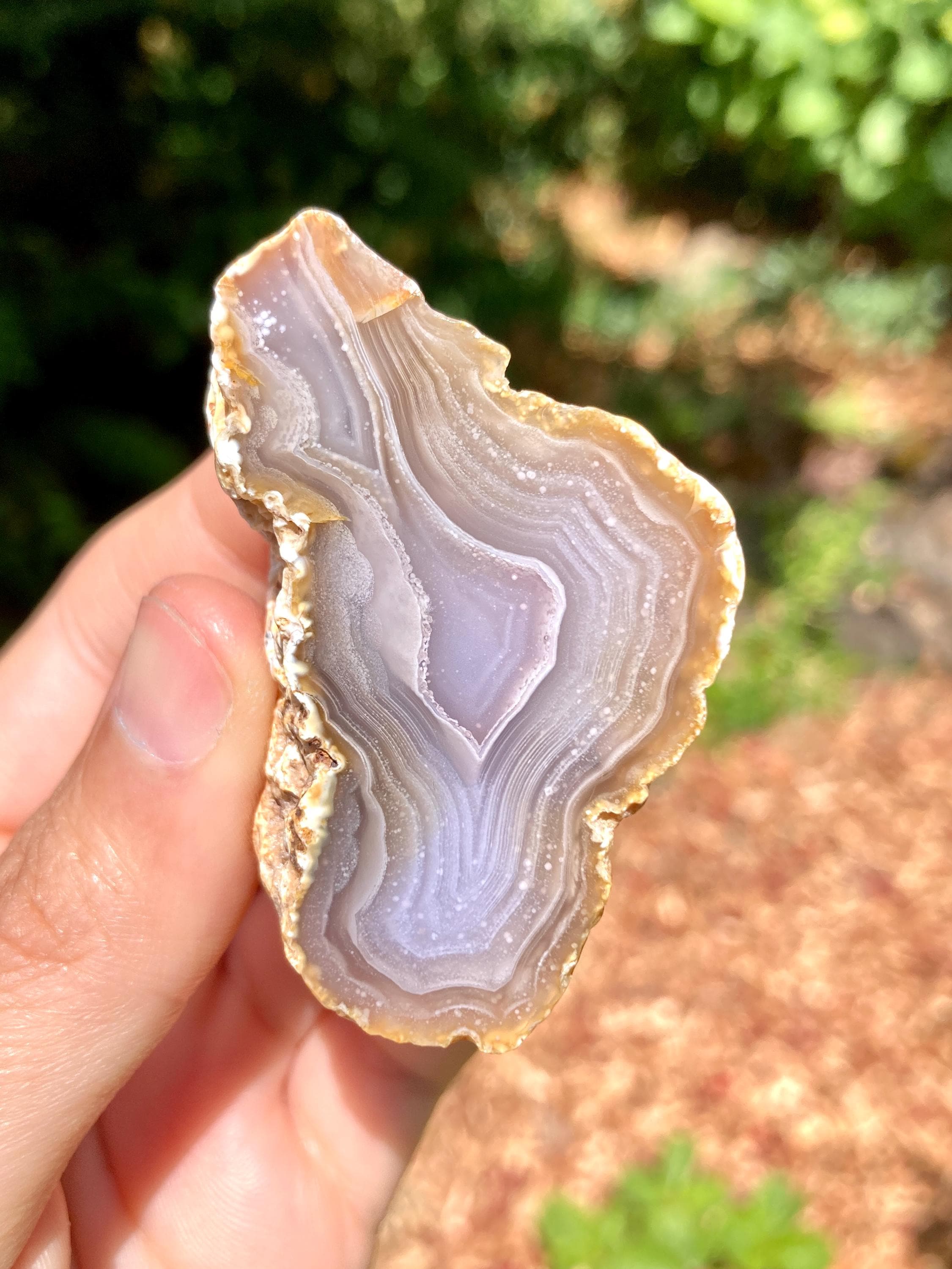 Picacho Agate Polished Specimen