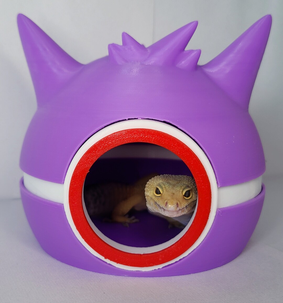 Reptile Hide House Cute Gen Gar Etsy