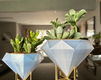 3D printed Diamond Planter - Clear