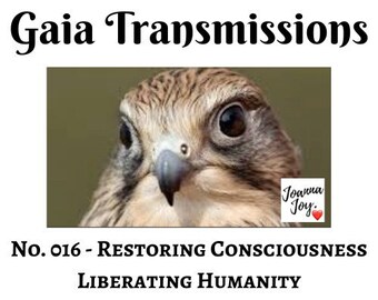 No. 016 - Restoring Consciousness, Liberating Humanity