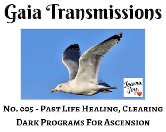 No. 005 - Past Life Healing - Clearing Dark Programs For Ascension