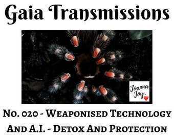 No. 020 - Weaponised Technology And A.I. - Detox And Protection