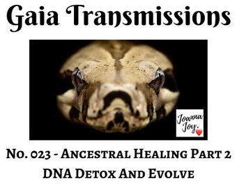 No. 023 - Ancestral Healing Part 2 - DNA Detox And Evolve