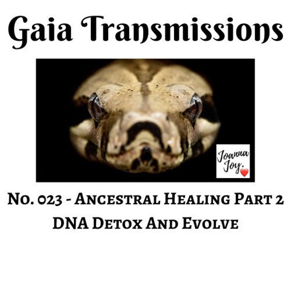 No. 023 - Ancestral Healing Part 2 - DNA Detox And Evolve