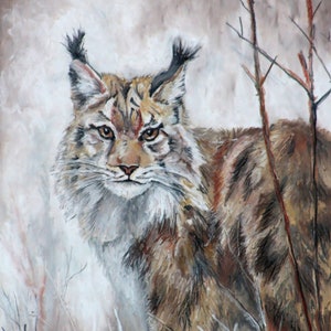 Canadian Lynx - Print - Wildlife Wall Art
