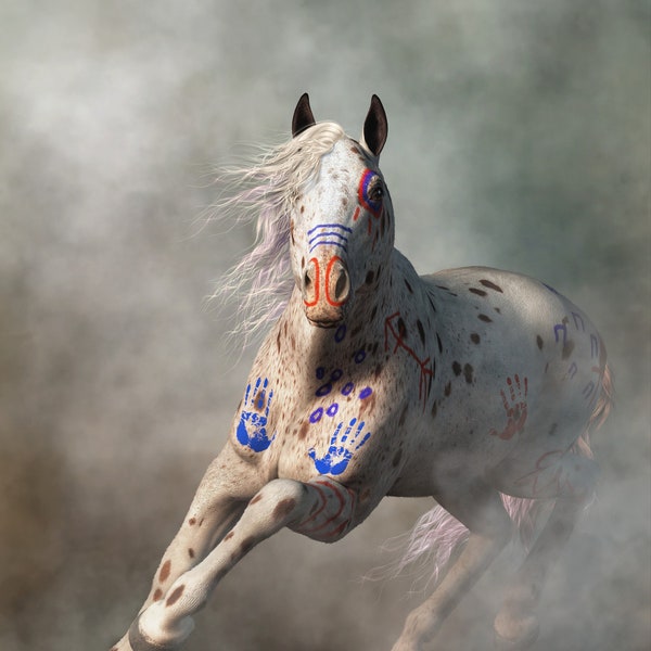 Appaloosa Warrior Horse, Indian Pony Print