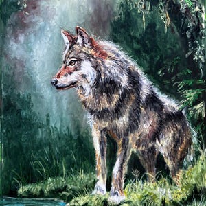 Lupo vicino a uno stagno nella foresta - Stampa artistica di animali selvatici