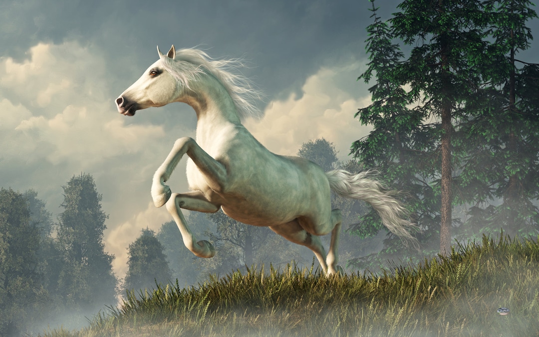 Wild Horse - Print - Wild Horse Wall Art, Mustang Poster, Equine