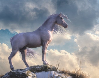 Cavallo bianco, alba fredda - Stampa - Arte murale con cavalli, decorazioni con animali