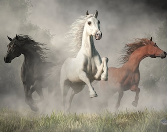 Arabian Horses - Print - Equine Themed Wall Art Photo paper poster