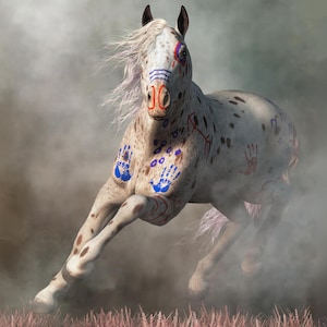 Appaloosa Warrior Horse - Canvas Giclée - Western Wall Art