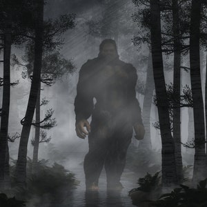 Sasquatch - Print - Bigfoot Wall Art
