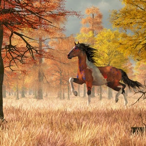 Herbst War Horse - Print - Wilder Westen Indianisches Kriegspferd Poster, Western Dekor
