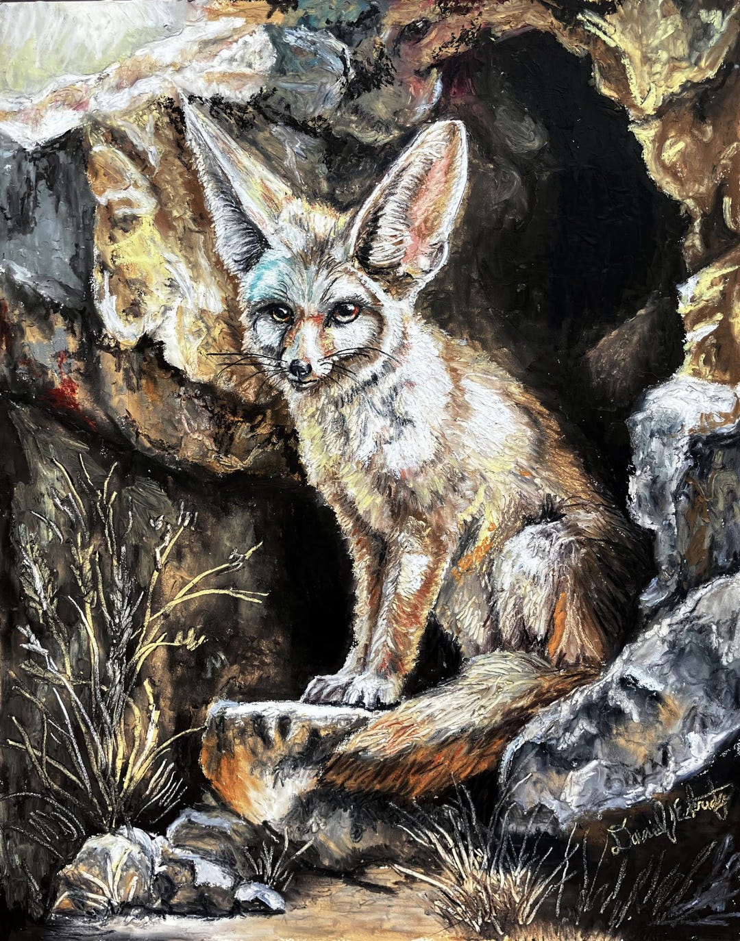小物 fennec FENNEC（フェネック） 保証付 返品OK 日本 正規品 2026 日本未入荷