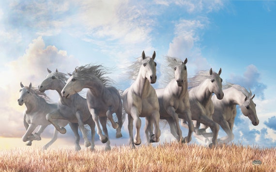 Seven Horses - Print - Equine Themed Fine Art, White Horse Poster