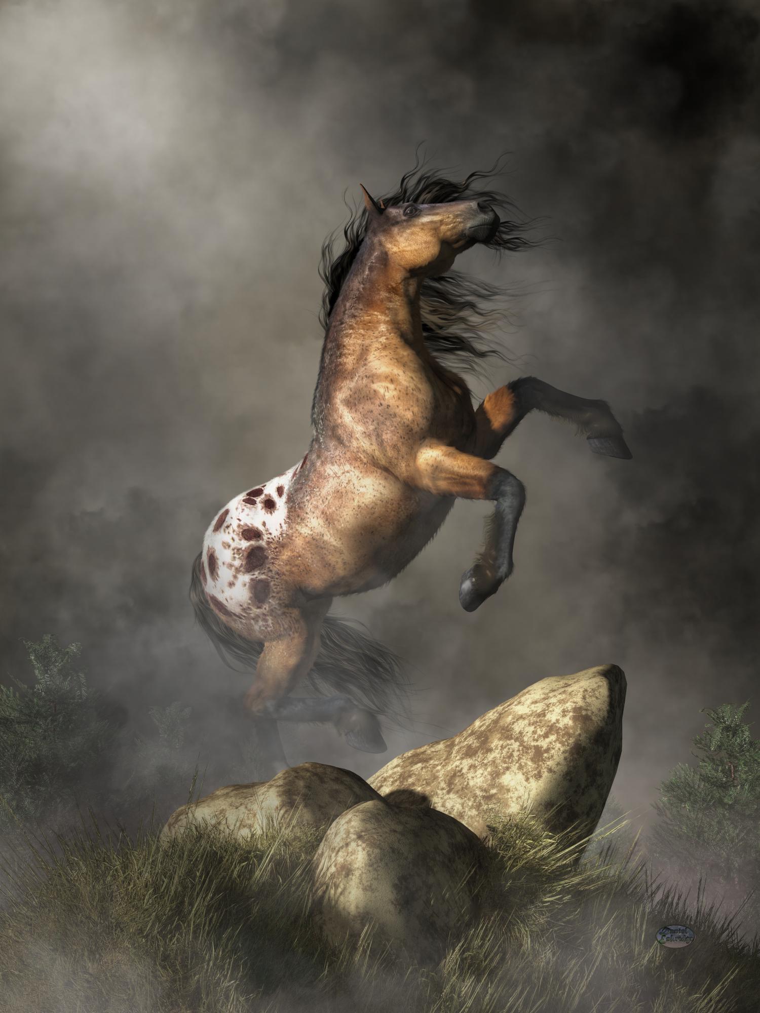 Blanket Appaloosa - Print - Rearing Horse Wall Art, Mustang Poster - Etsy, image size:1500x2000