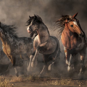 American Paint Horses - Luster Print - Wild West Mustang Poster Wall Decor