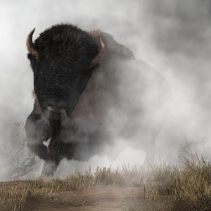 Out of the Fog - Canvas Giclée Print Featuring a Bison, the Buffalo of the American Wild West