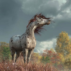 Appaloosa Horse in Autumn, Horse Themed Art Print