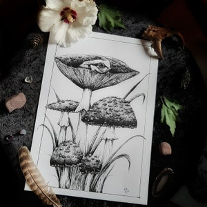 Fliegenpilz Fineartprint