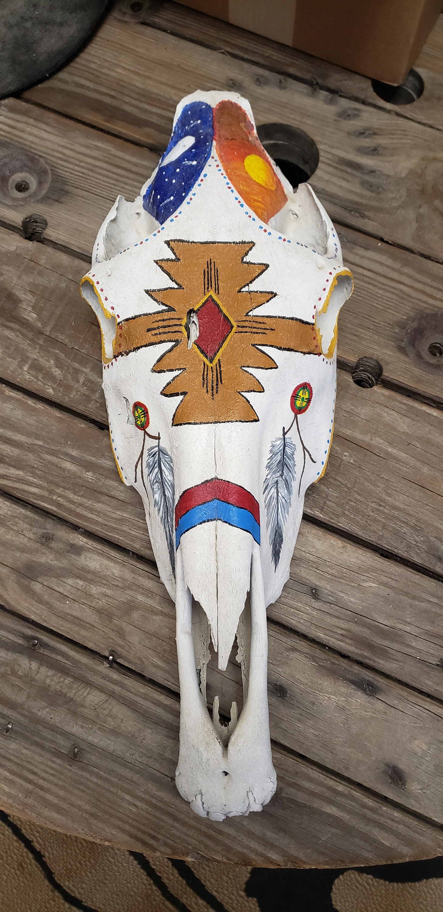 Genuine Horse Skull Hand Painted Native Etsy