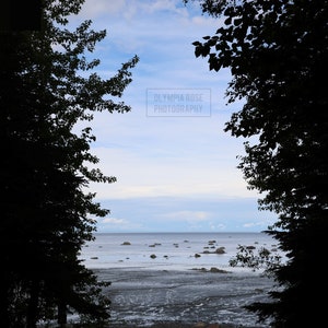 Arte murale/tela/puzzle/cartolina/fotografia/download digitale/stampa istantanea/mare/costa/spiaggia/Alaska