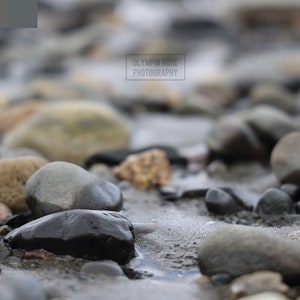 Arte murale/tela/puzzle/cartolina/fotografia/download digitale/stampa istantanea/mare/costa/spiaggia/ciottoli/Alaska