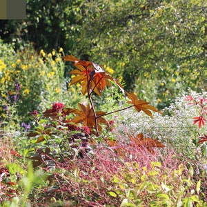 Art mural | toile | casse-tête | carte postale | photographie | téléchargement numérique | impression instantanée | fleurs multicolores | Jardins de Claude Monet