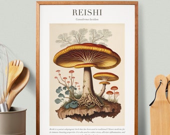 Reishi Botanical Illustration with Medicinal Uses - Herbalist Prints