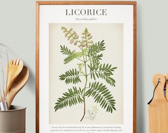 Puede incluir: Una impresión botánica enmarcada que presenta una ilustración detallada de una planta de regaliz, con hojas verdes y racimos de flores blancas. La impresión incluye la palabra "LICORICE" en la parte superior, junto con el nombre científico de la planta. La impresión está en un marco de madera.