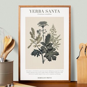 May include: A framed botanical print featuring an illustration of Yerba Santa, with the scientific name Eriodictyon crassifolium. The artwork showcases various plant elements in shades of green and gray against a beige background. The text "YERBA SANTA" is at the top.