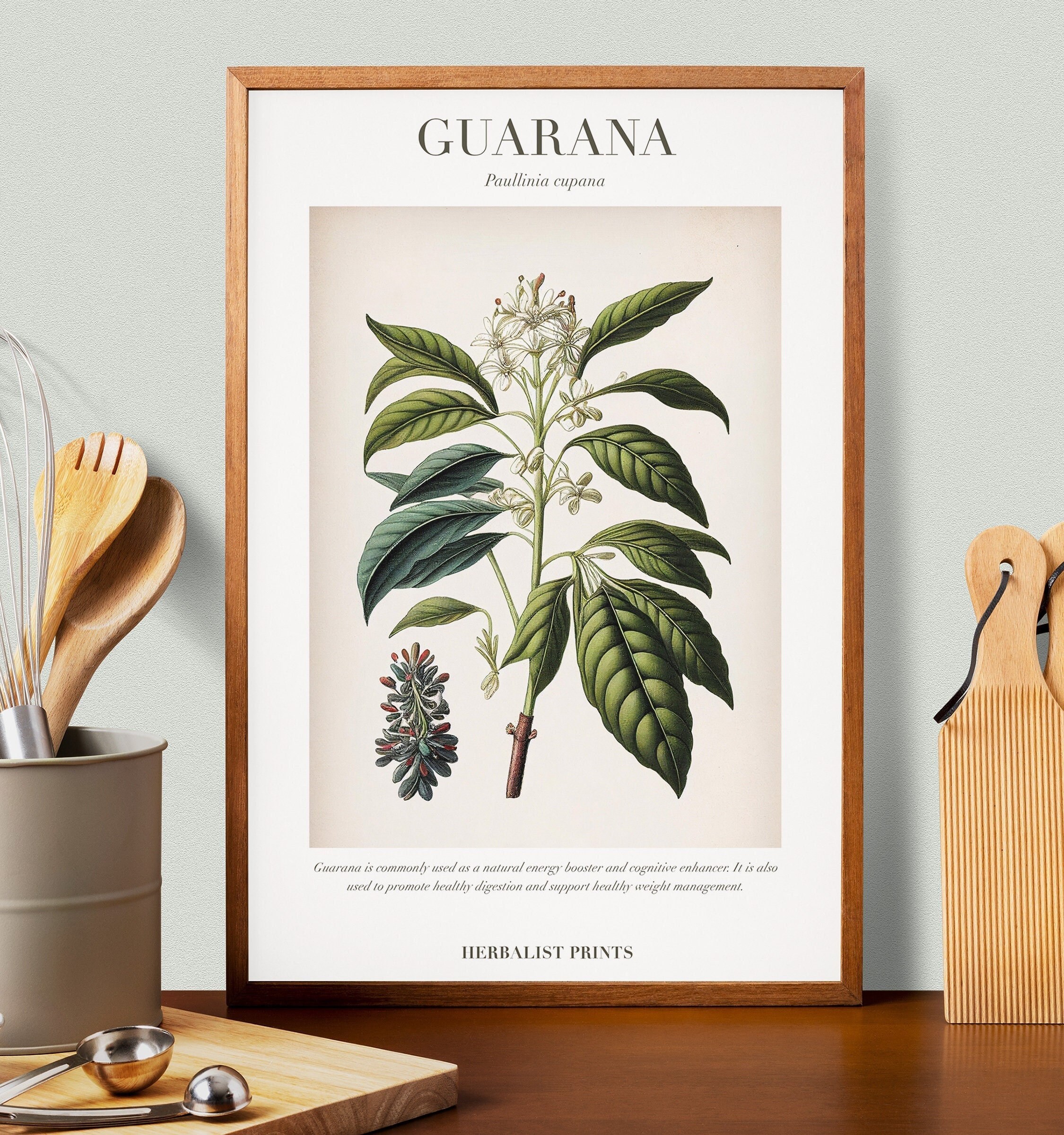 Guarana - Etsy 日本
