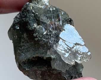 Moody-chloriet inclusief Himalaya-kwarts