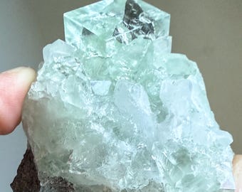 石英上の蛍石 石英マトリックス上の蛍石結晶 - Etsy 日本