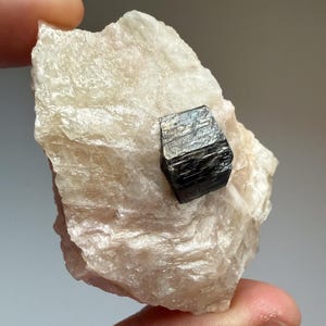 以下が含まれることがあります： 暗くメタリックな立方体の黄鉄鉱の結晶が埋め込まれた、生の淡いベージュ色の鉱物標本。黄鉄鉱の結晶は反射面を持ち、周囲の鉱物はざらざきした質感を持っています。