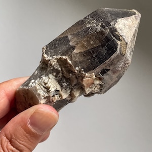 Colorado Smoky Quartz Scepter from Lake George