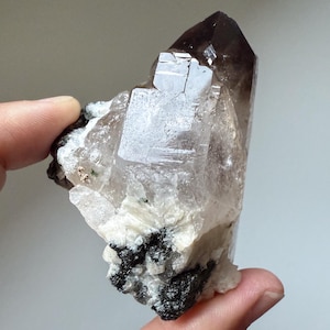 Self-Standing Smoky Quartz Cluster with Sparkly Aegerine from Malawi