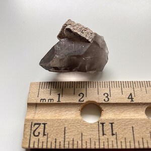 May include: A smoky quartz crystal with a natural, rough, gray exterior. The crystal is approximately 2 cm in length and is sitting on a wooden ruler.