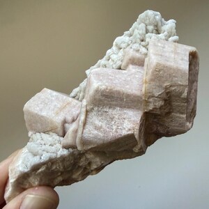 Colorado Microcline Crystal Cluster with Albite