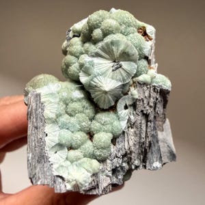 Pode incluir: Um espécime mineral com formações botrioidais verde-pálidas e estruturas cristalinas radiantes em forma de leque. O aglomerado está fixado numa base rochosa escura, estriada verticalmente, com uma superfície rugosa e bordos irregulares.