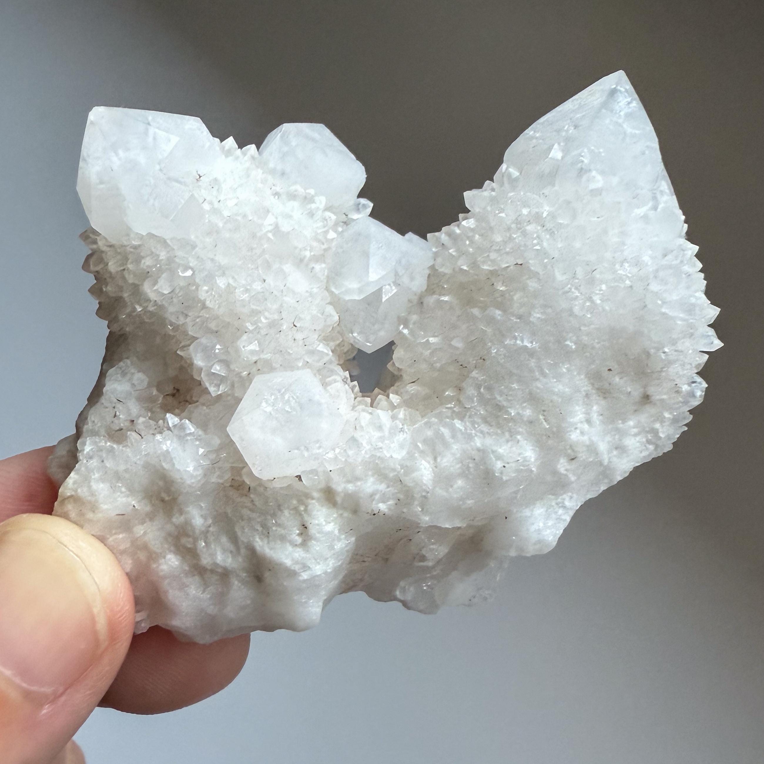 カクタス　ミルキークォーツ カクタスミルキークォーツ