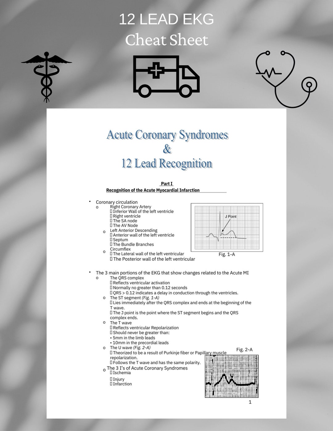 12 Lead EKG Cheat Sheet ACLS Paramedic EMS - Etsy