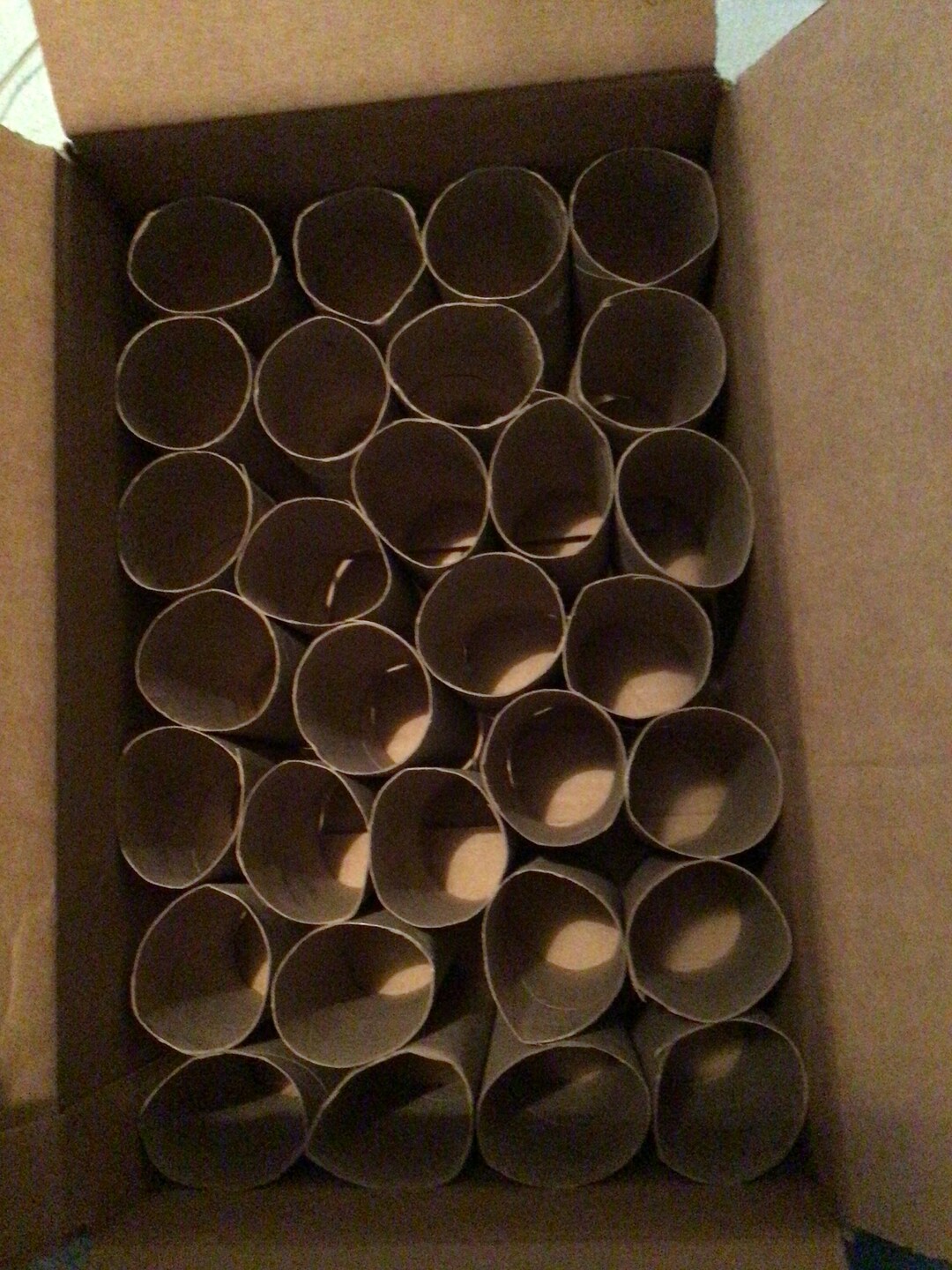 Toilet Paper Rolls Etsy