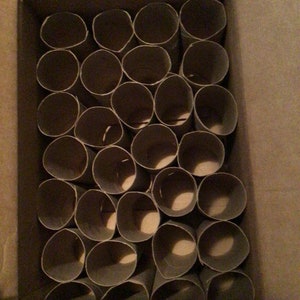 Toilet Paper Rolls