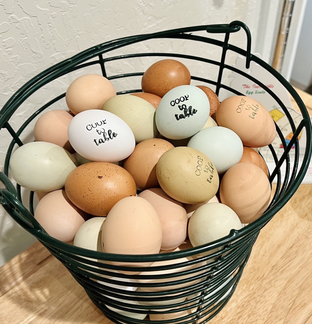 Freeze Dried Organic Eggs Whole Raw Egg Powder Farm Fresh Etsy